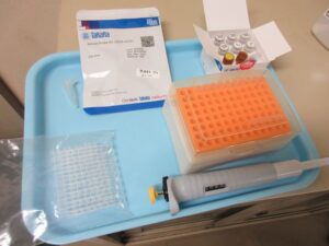 20221218未承認PCR試薬